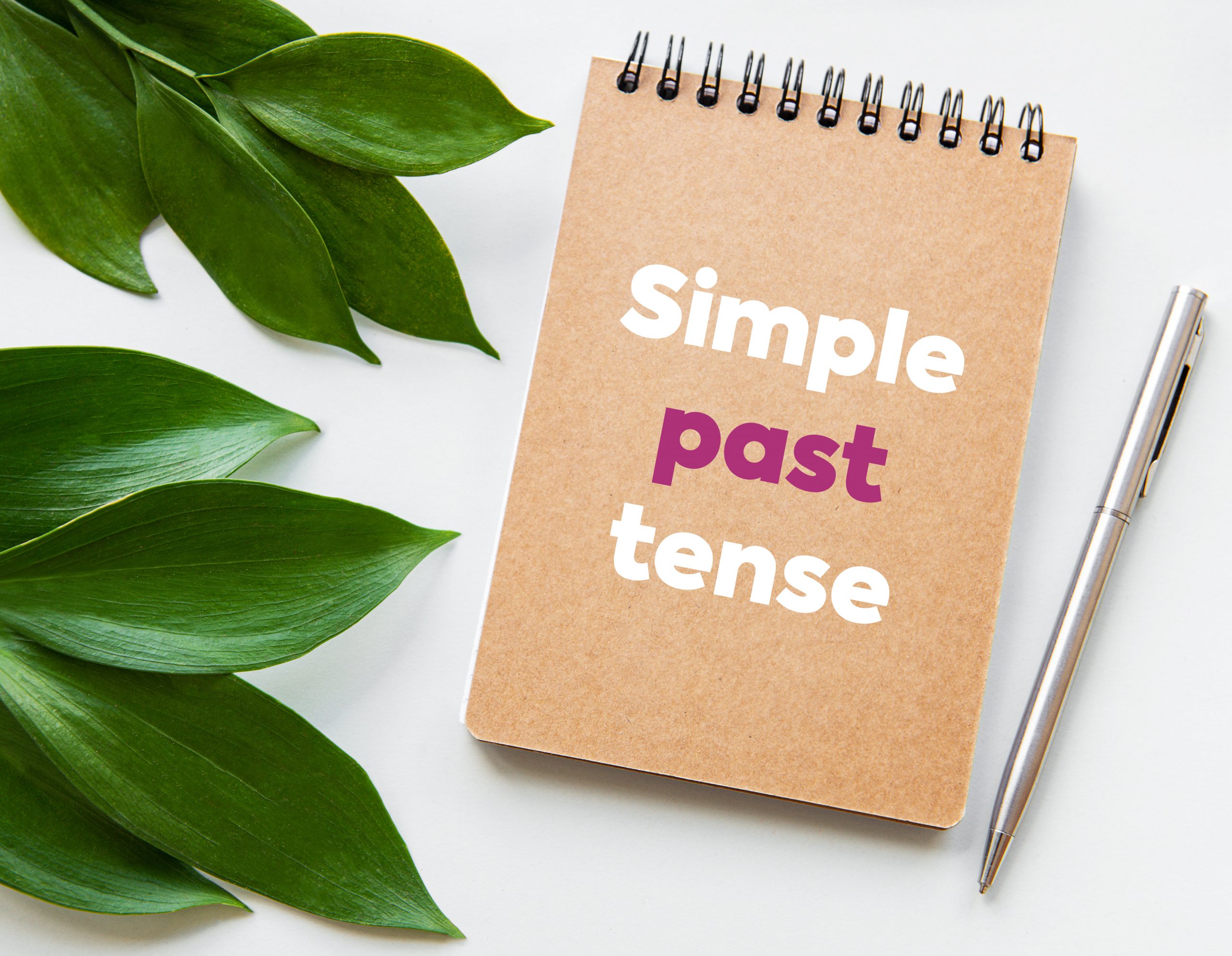Play Past Simple, Simple Past Tense of Play Past Participle, V1 V2